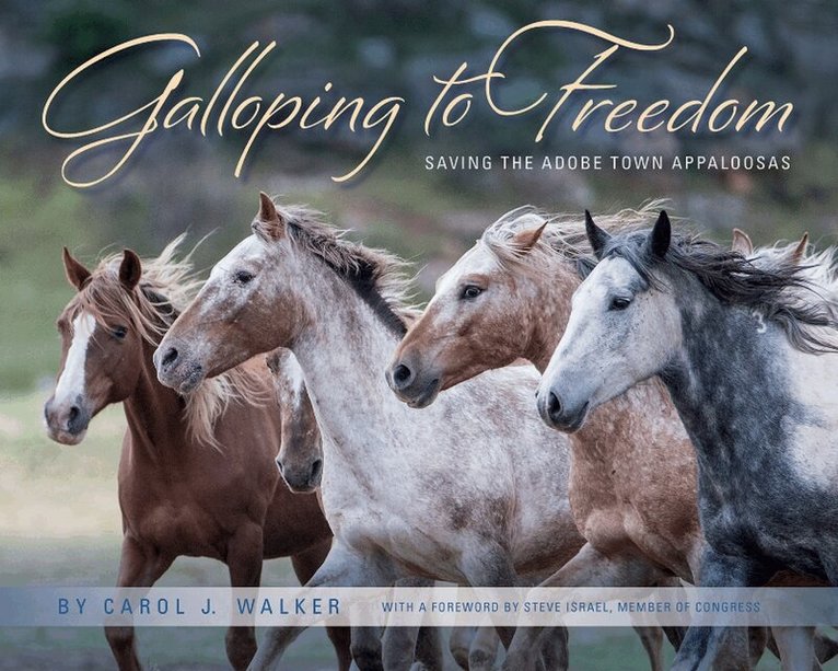 Carol Walker Carol - Galloping to Freedom, Inbunden. Tillgänglighet: Lägg i varukorg