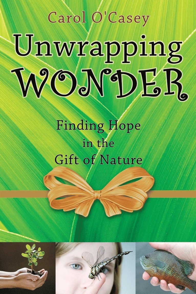 Carol O'Casey - Unwrapping Wonder, Häftad