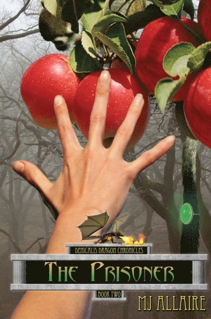 MJ Allaire - Prisoner: Denicalis Dragon Chronicles - Book Two, E-bok