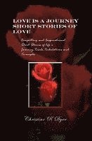 Christine R. Dyer - Love Is A Journey, Häftad