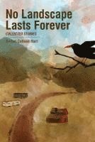 Amber Colleen Hart - No Landscape Lasts Forever, Häftad