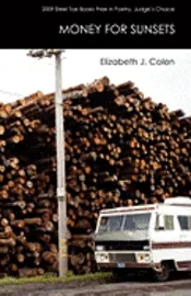 Elizabeth J. Colen - Money for Sunsets, Häftad. Tillgänglighet: Lägg i varukorg