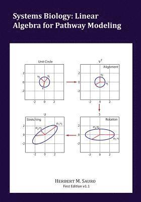 Herbert M. Sauro - Systems Biology: Linear Algebra for Pathway Modeling, Häftad. Tillgänglighet: Lägg i varukorg