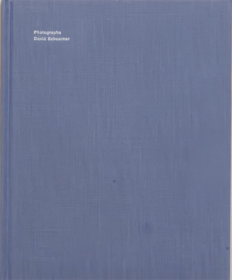 David Schoerner - Photographs, Inbunden