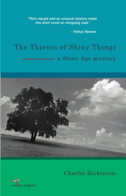 Charlie Dickinson - Thieves of Shiny Things, E-bok. Tillgänglighet: Lägg i varukorg