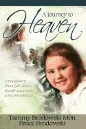 Bruce Brodowski, Lisa Lickel - Journey to Heaven, Häftad