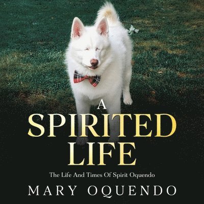 Spirited Life