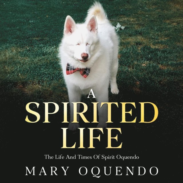 Mary Oquendo - Spirited Life, E-bok. Tillgänglighet: Lägg i varukorg