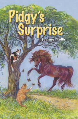 Jeanne Mellin - Pidgy's Surprise, Häftad