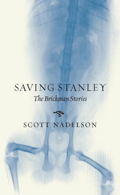 Scott Nadelson - Saving Stanley, E-bok