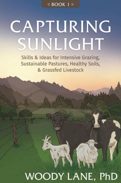 Woody Lane - Capturing Sunlight, Book 1, E-bok. Tillgänglighet: Lägg i varukorg