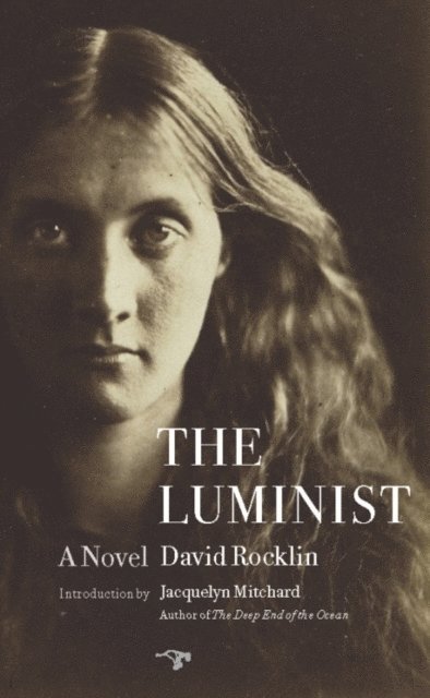 David Rocklin - Luminist, E-bok