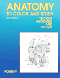 Ray Poritsky - Anatomy to Color and Study Thorax Third Edition, Häftad