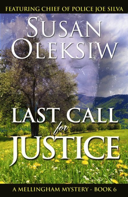 Susan Oleksiw - Last Call for Justice, E-bok