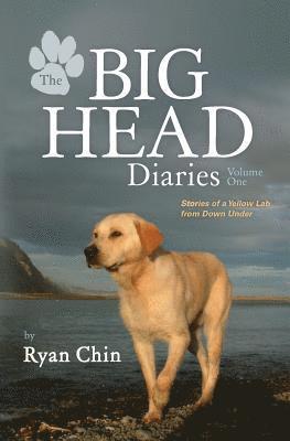 Ryan Chin - The Big Head Diaries, Volume 1: Stories of a Yellow Lab from Down Under, Häftad. Tillgänglighet: Lägg i varukorg