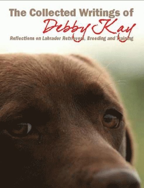 Debby Kay - Collected Writings Of Debby Kay, E-bok. Tillgänglighet: Lägg i varukorg