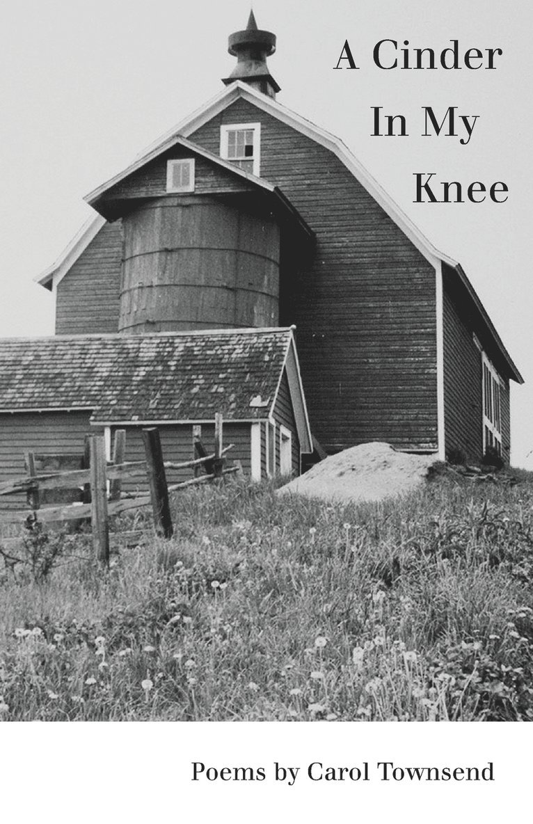 Carol Townsend - Cinder In My Knee, Häftad