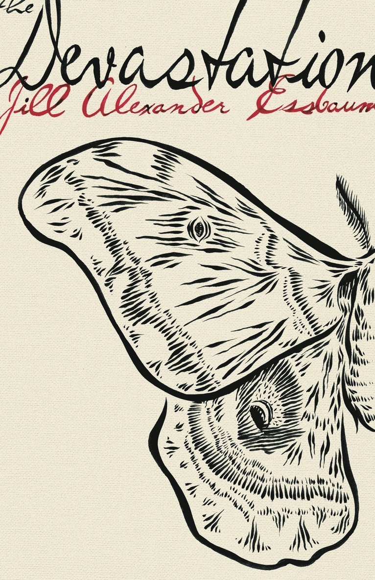 Jill Alexander Essbaum - Devastation, Häftad