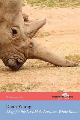 Dean Young - Elegy for the Last Male Northern White Rhino, Häftad