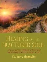 Steve Shamblin - Healing of the Fractured Soul, Häftad. Tillgänglighet: Lägg i varukorg