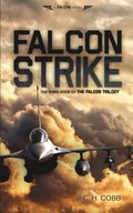 Falcon Strike