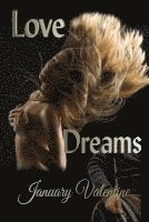 January Valentine - Love Dreams, Häftad