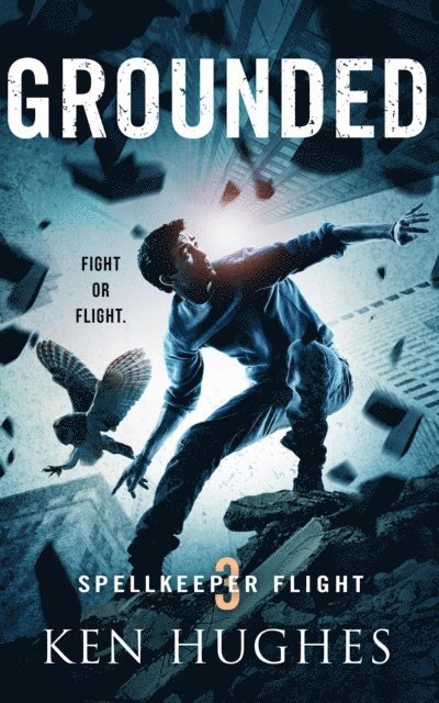 Ken Hughes - Grounded, E-bok