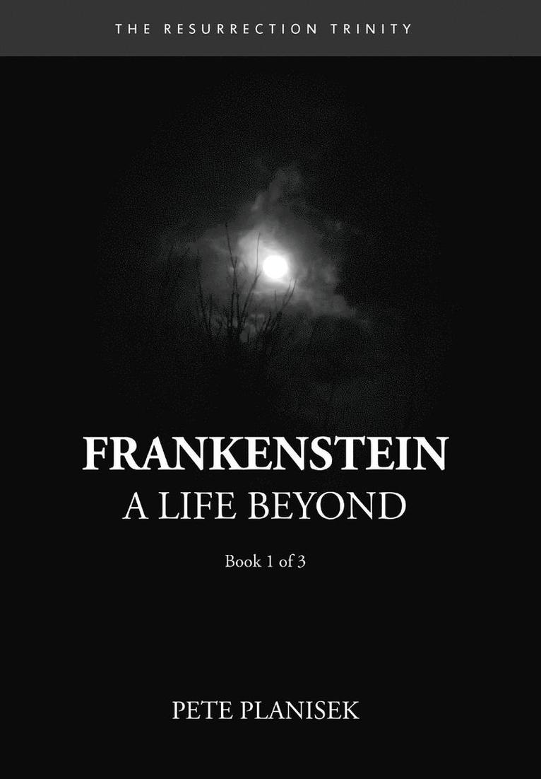 Pete Planisek - Frankenstein A Life Beyond, Inbunden. Tillgänglighet: Lägg i varukorg