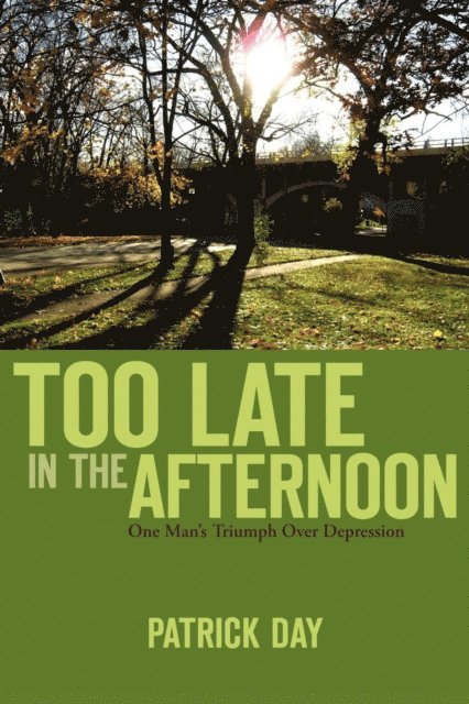 Patrick Day - TOO LATE IN THE AFTERNOON, E-bok
