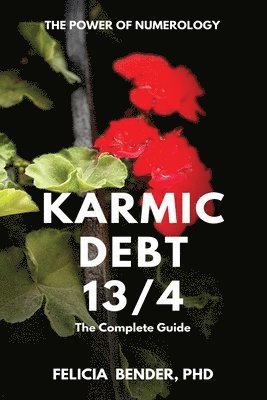 Felicia Bender - The Power of Numerology: Karmic Debt 13/4, Häftad. Tillgänglighet: Lägg i varukorg