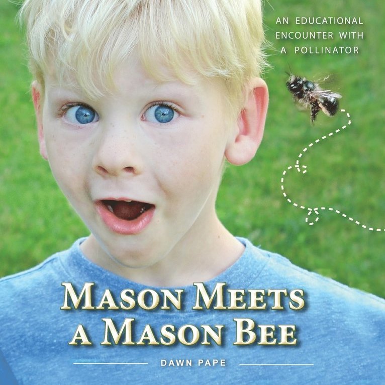 Dawn V Pape - Mason Meets a Mason Bee, Häftad