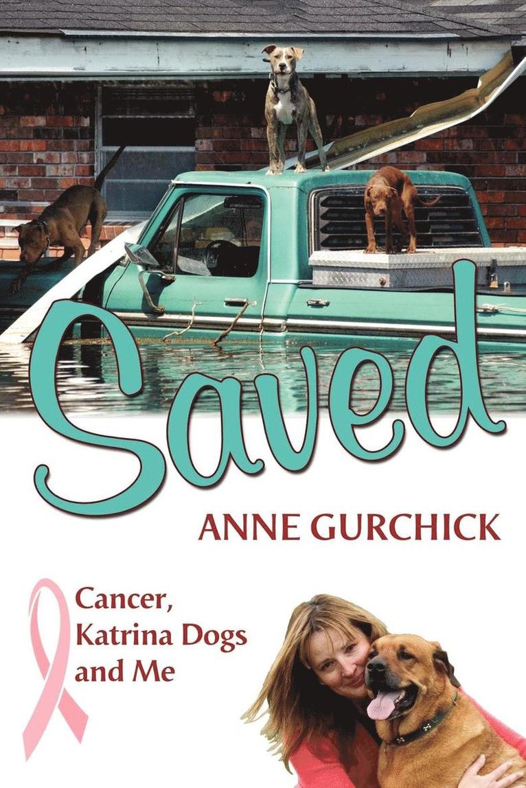 Anne Gurchick - Saved, Häftad