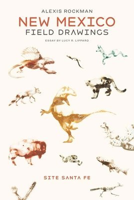 Alexis Rockman - New Mexico Field Drawings, Häftad
