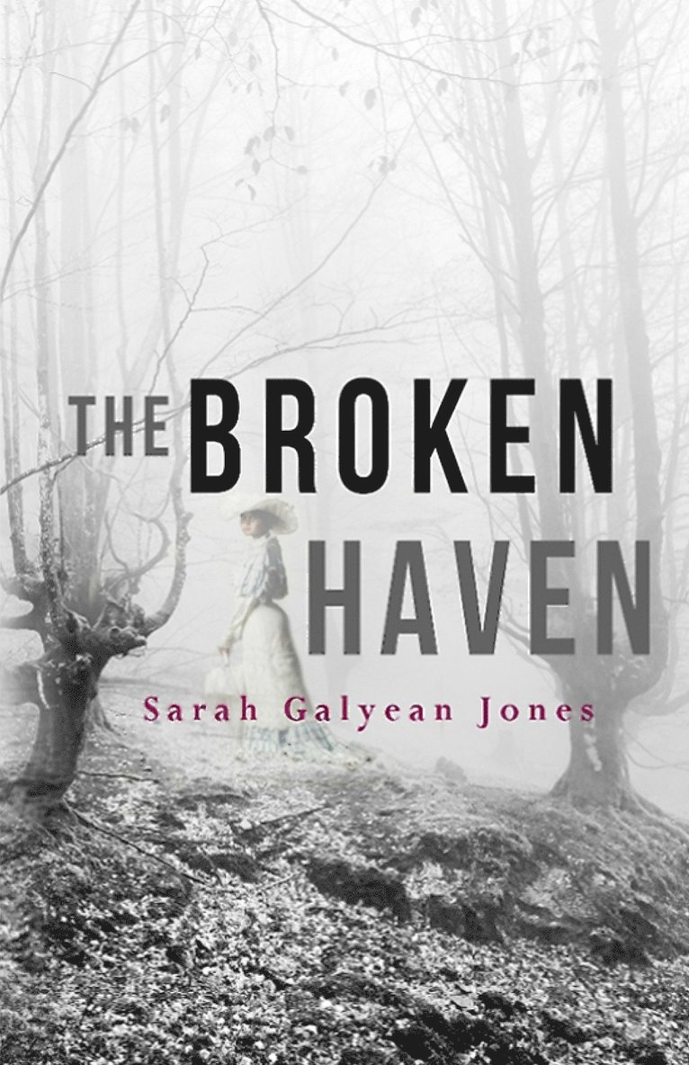 Sarah Galyean Jones - Broken Haven, Häftad