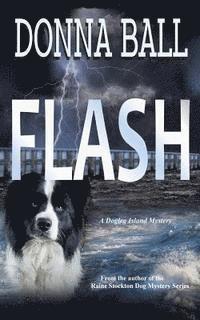 Flash av Donna Ball