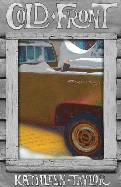Kathleen Taylor - Cold Front: A Tory Bauer Mystery, E-bok