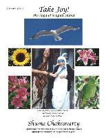 Shuma Chakravarty - Take Joy! the Saga of Seagull Island, Häftad