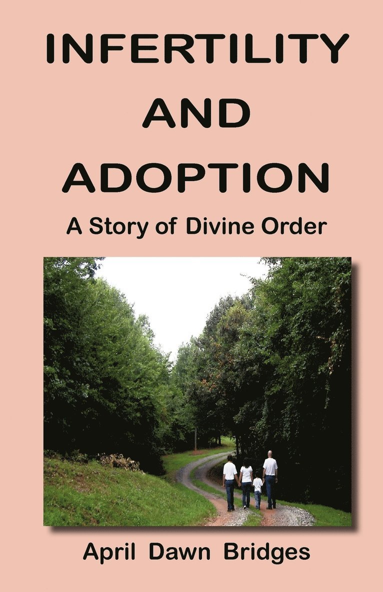 April Dawn Bridges - Infertility and Adoption, A Story of Divine Order, Häftad