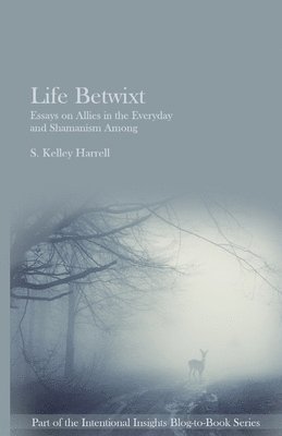 S. Kelley Harrell - Life Betwixt: Essays on Allies in the Everyday and Shamanism Among, Häftad. Tillgänglighet: Lägg i varukorg