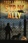 Stray Ally