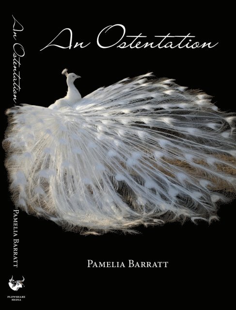 Pamelia Barratt - Ostentation, E-bok
