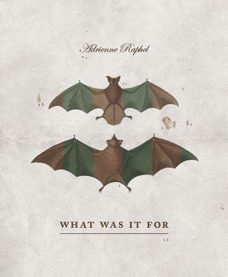Adrienne Raphel - What Was It for, Häftad. Tillgänglighet: Tillfälligt slut