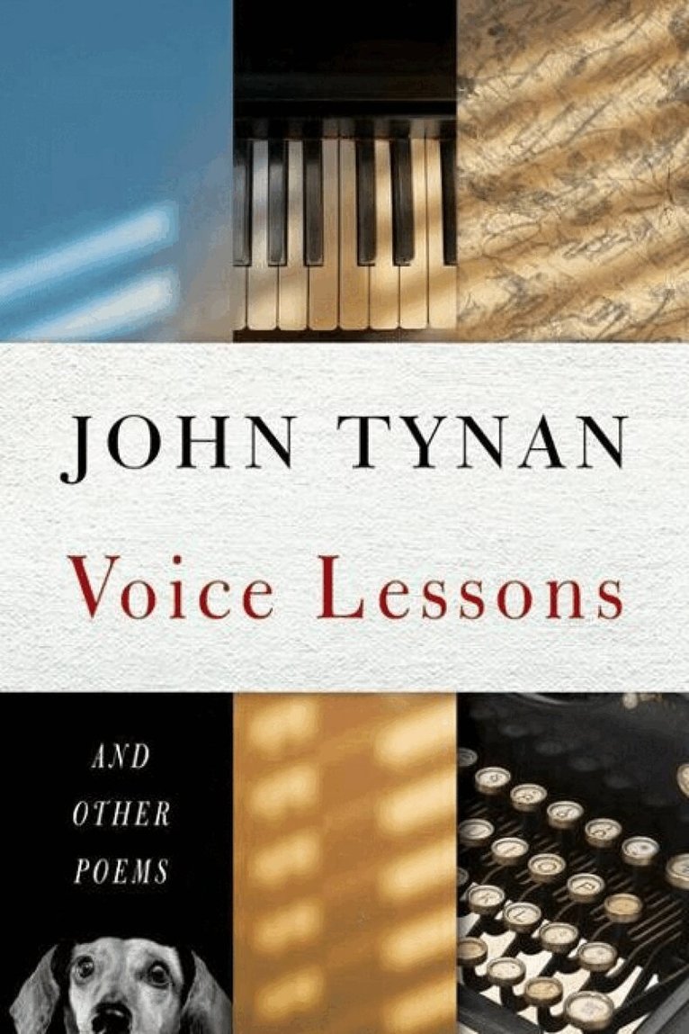 John Tynan - Voice Lessons, Häftad