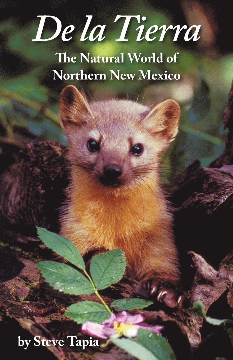 Steve Tapia, Matrika Word Services - De La Tierra, Häftad