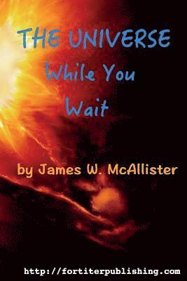 James W. McAllister - The Universe While You Wait: Twenty eight short stories to read while you wait, Häftad
