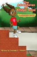 The Adventures of Amilya Rose: 'Disappearance'