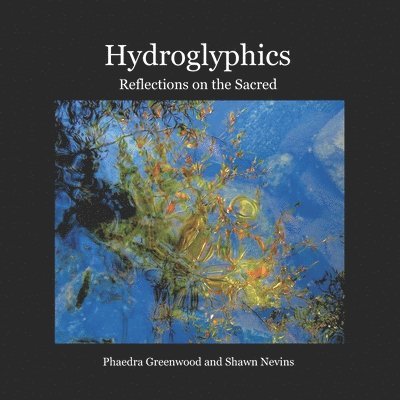 Phaedra Greenwood, Shawn Nevins - Hydroglyphics, Häftad. Tillgänglighet: Lägg i varukorg