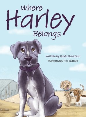 Kayla Davidson - Where Harley Belongs, Inbunden