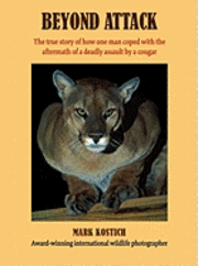 Mark Kostich - Beyond Attack, Inbunden