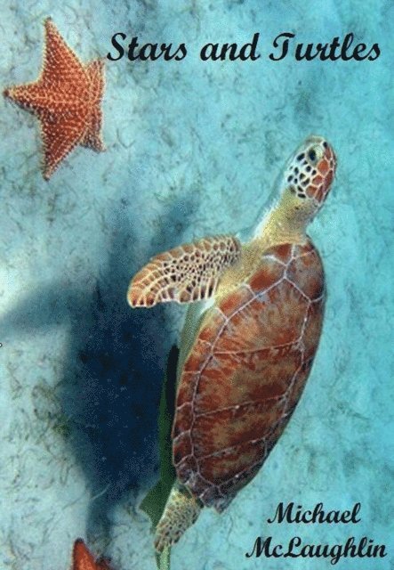 Michael McLaughlin - Stars and Turtles, E-bok